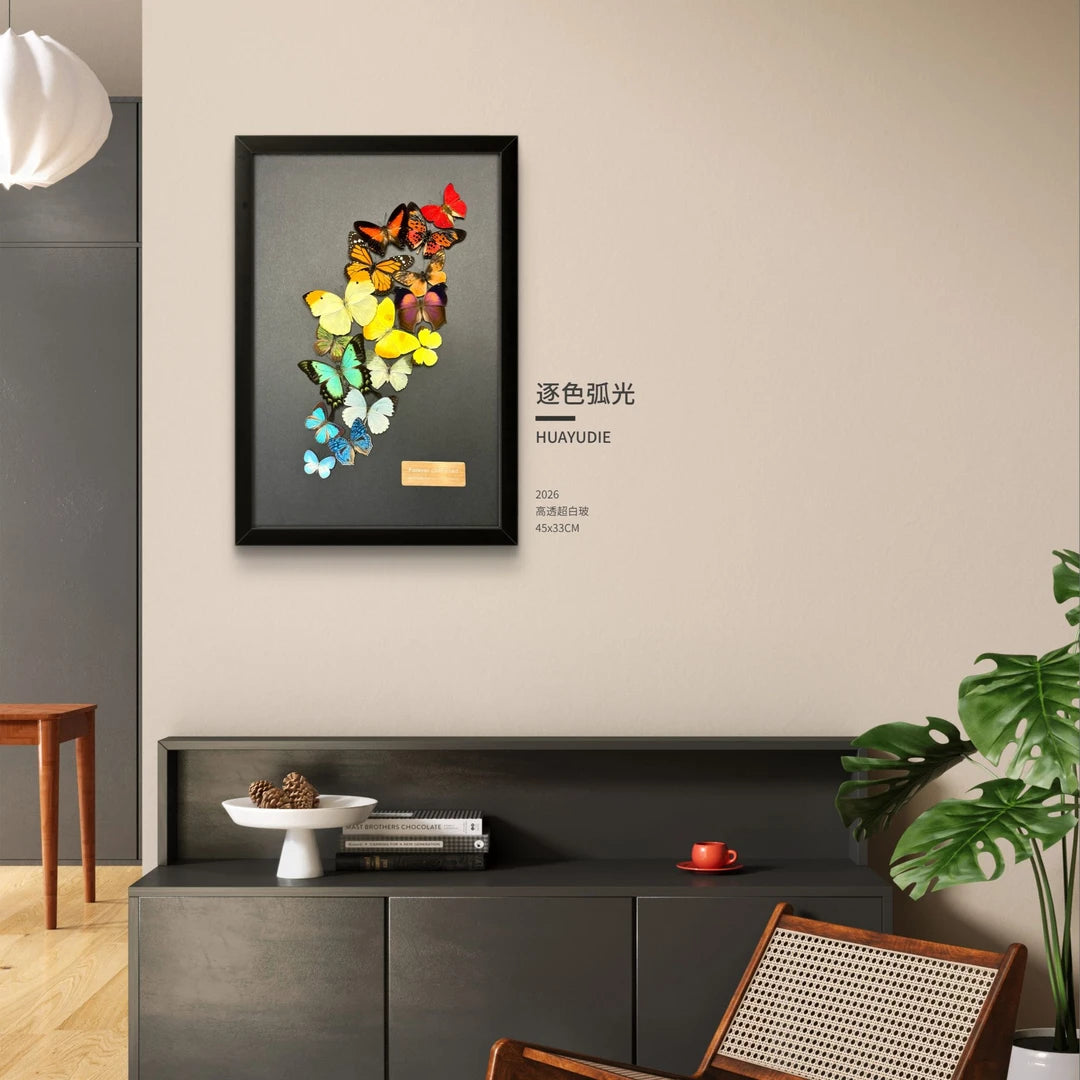 FLORAFLY "Arc of Color" luxury-style butterfly assemblage vertical wood frame real butterfly specimen frame decorative art Gift - image 5