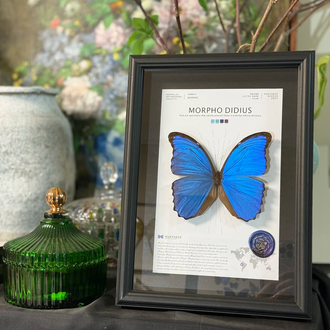 Big blue morpho butterfly didius premium light luxury butterfly decorative art to give Mother's Day gift, atmospheric and premium wall art - image 4