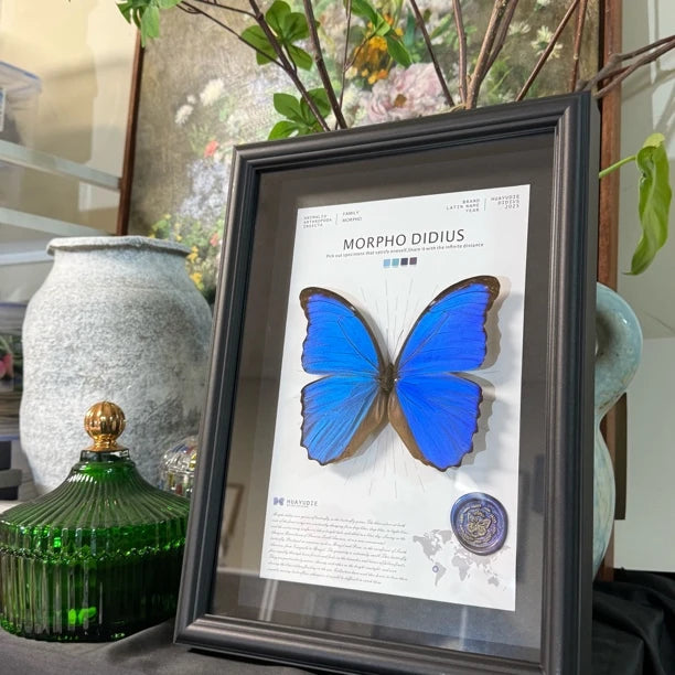 Big blue morpho butterfly didius premium light luxury butterfly decorative art to give Mother's Day gift, atmospheric and premium wall art - image 5