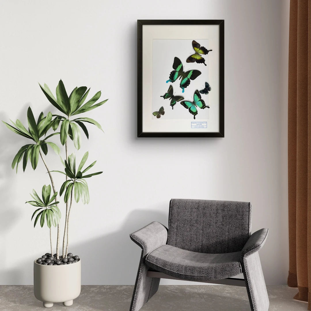 FLORAFLY "The Wizard of Oz" luxury-style butterfly assemblage vertical wood frame real butterfly specimen frame decorative art gift - image 2