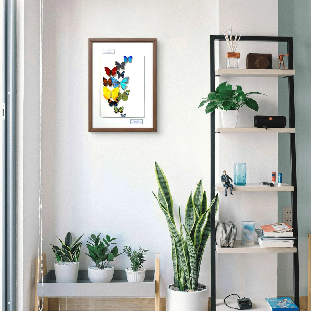 FLORAFLY "Flower Moon" Nordic style butterfly wall art vertical wood frame real butterfly specimen frame decorative art specimen gift - image 2