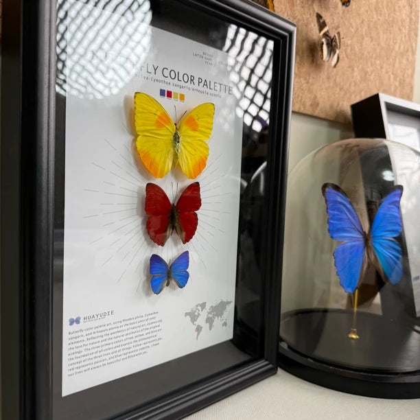 Three-color butterfly assemblage photo frame, creative gift for girlfriend, best friend and boyfriend, recommended home decoration creative gift - image 3