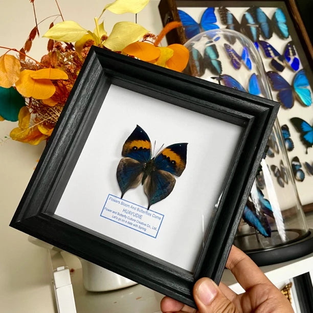 Dead Leaf Butterfly Photo Frame Real Butterfly Specimen Creative Gift Valentine's Day Creative Gift for Girlfriend Birthday Gift - image 2