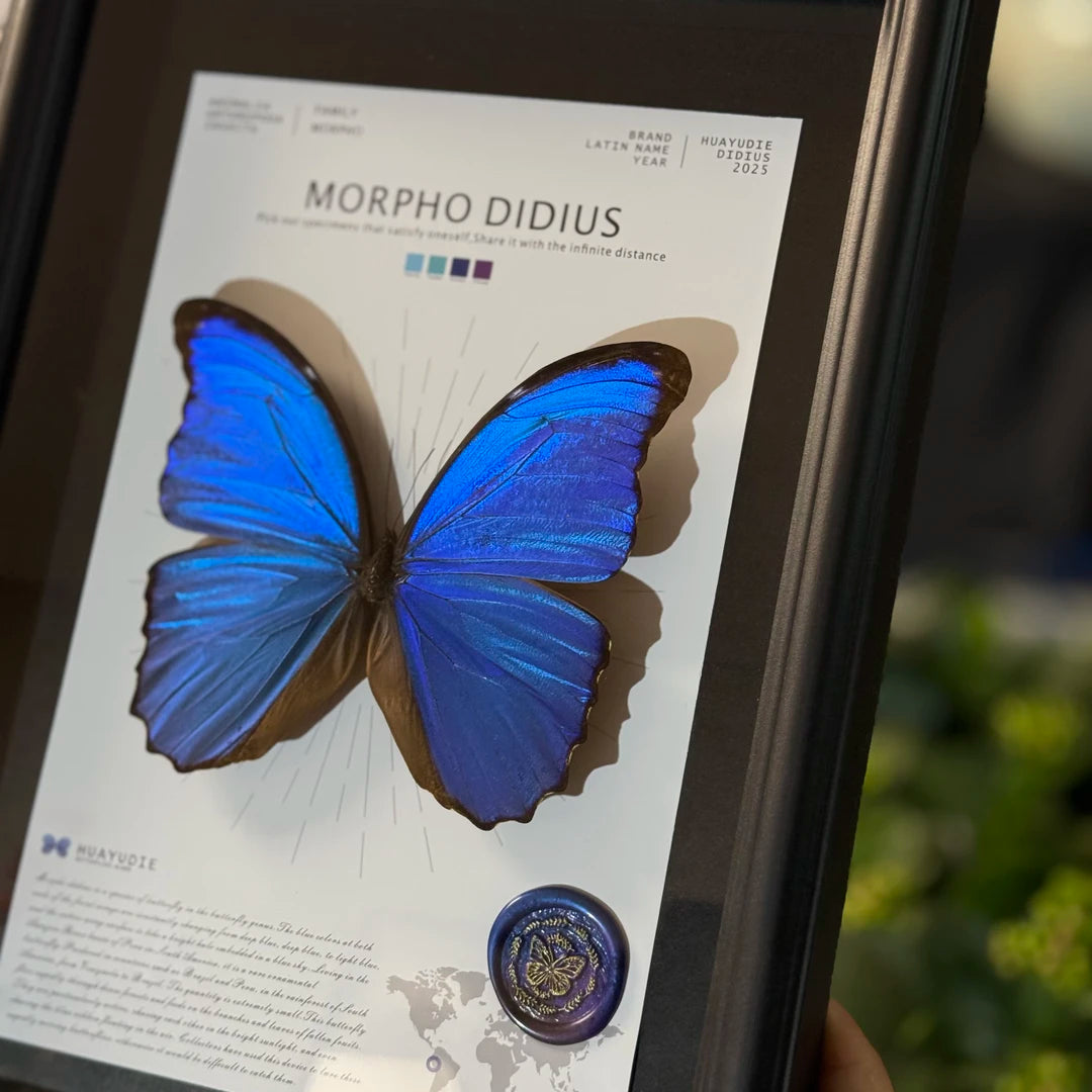 Big blue morpho butterfly didius premium light luxury butterfly decorative art to give Mother's Day gift, atmospheric and premium wall art - image 1