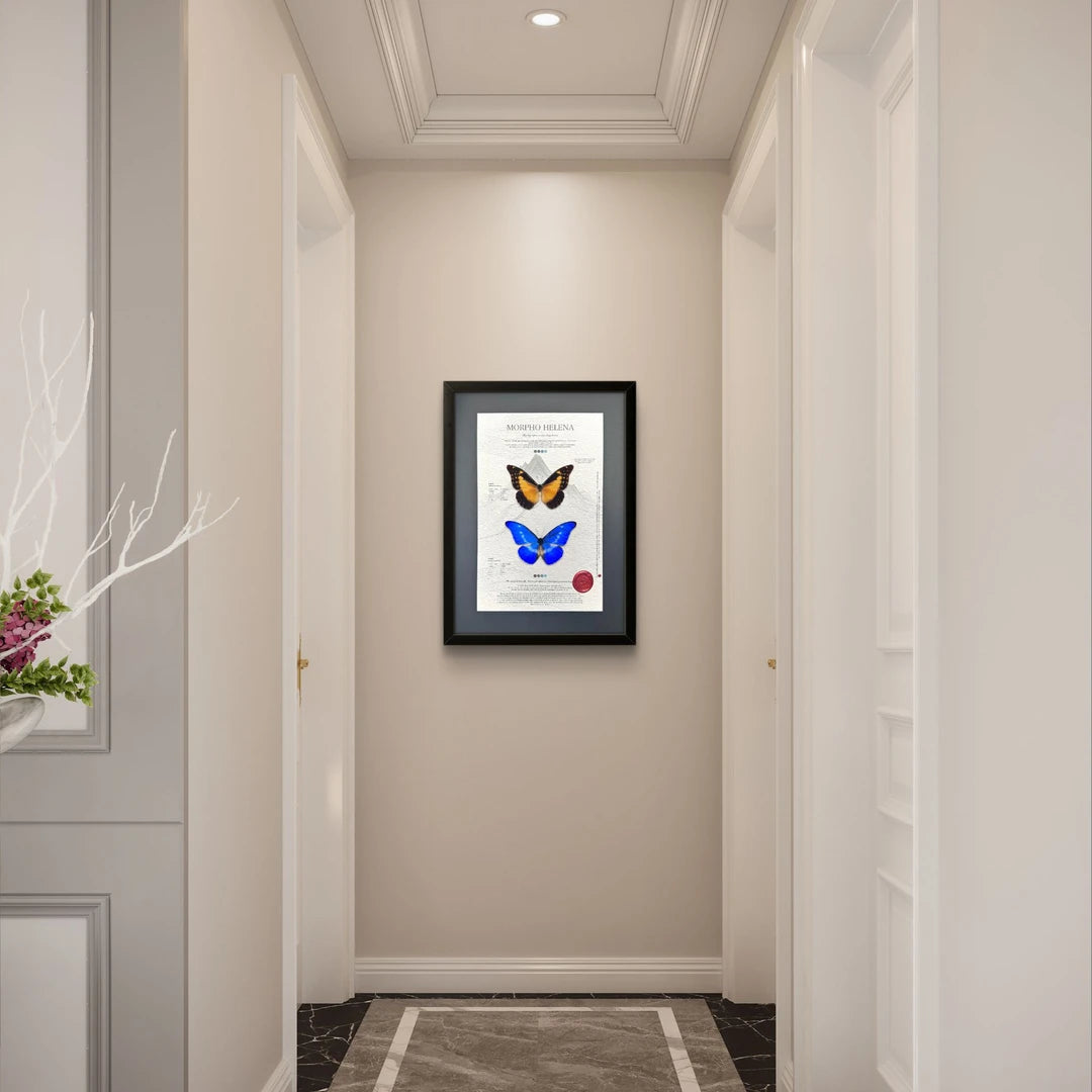 FLORAFLY "Goddess of Light" luxury-style butterfly assemblage vertical wood frame real butterfly specimen frame decorative art gift - image 5