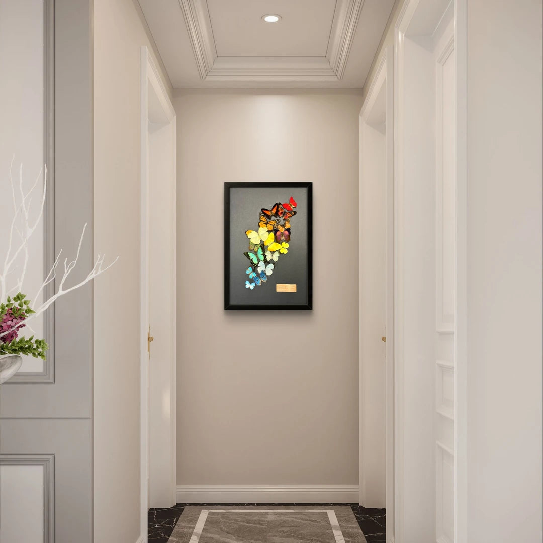 FLORAFLY "Arc of Color" luxury-style butterfly assemblage vertical wood frame real butterfly specimen frame decorative art Gift - image 4