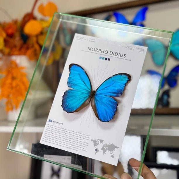 Decorative picture frame - light luxury hanging picture, premium atmospheric glass butterfly living room accessories, premium gift for girlfriend - image 5
