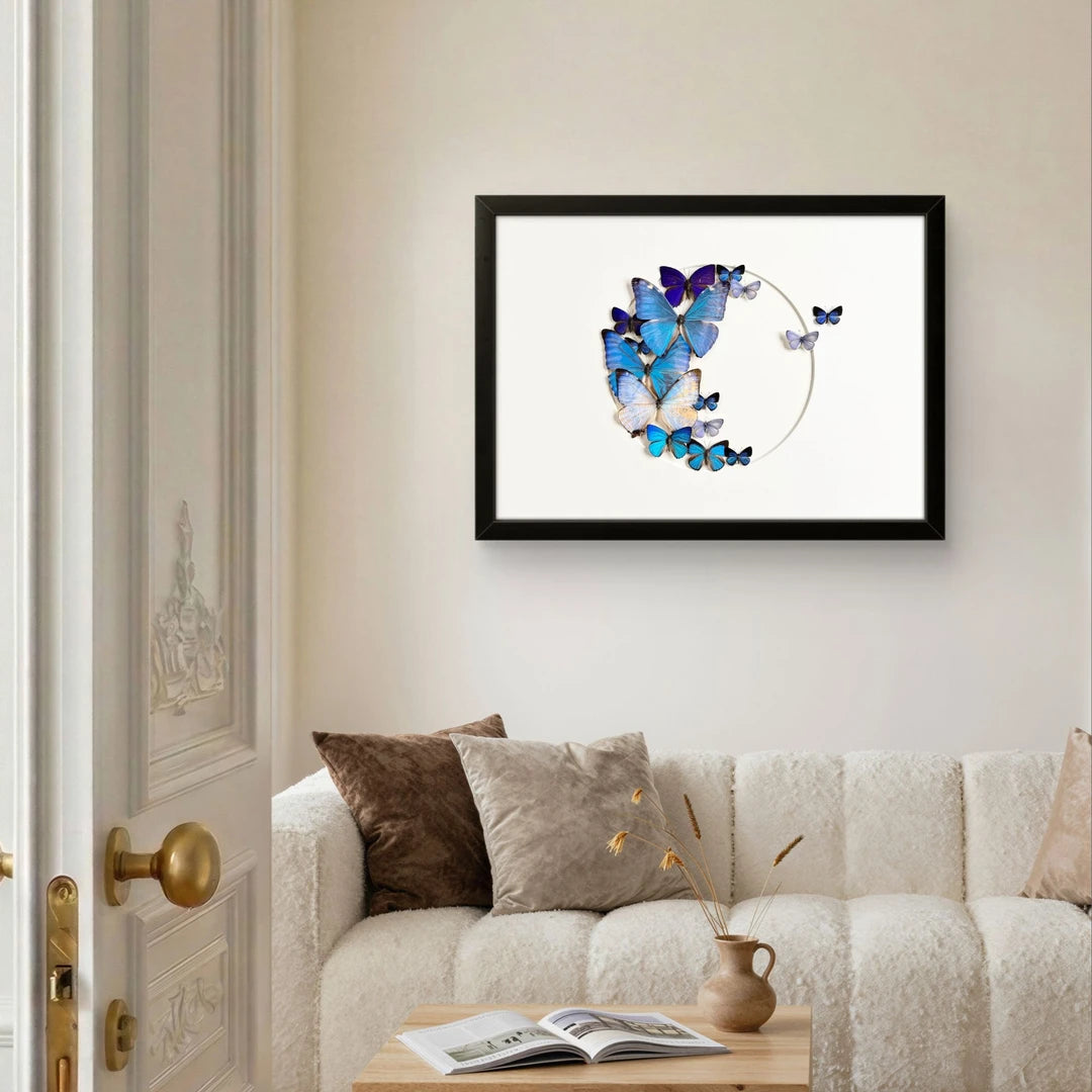 FLORAFLY "Sea Floating Night Moon" Real Butterfly decorative art Imported Real Butterfly Sofa Background Wall decorative art Gift - image 4