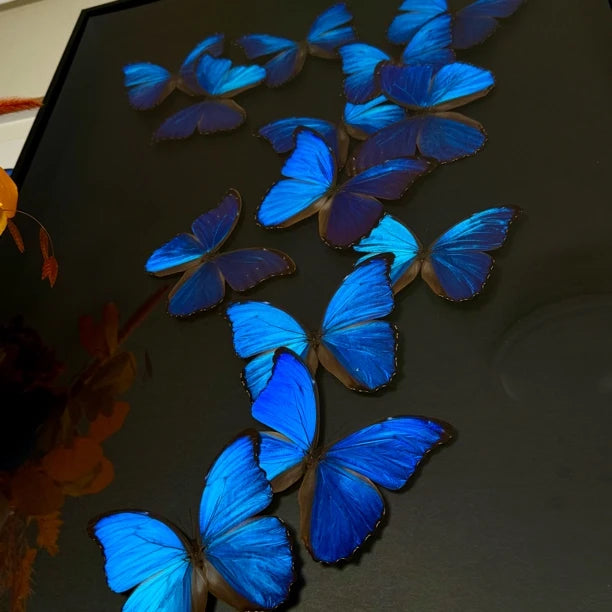 FLORAFLY "Blue Shadow" atmospheric butterfly new bedroom decoration painting living room wall art entrance premium wall art - image 5