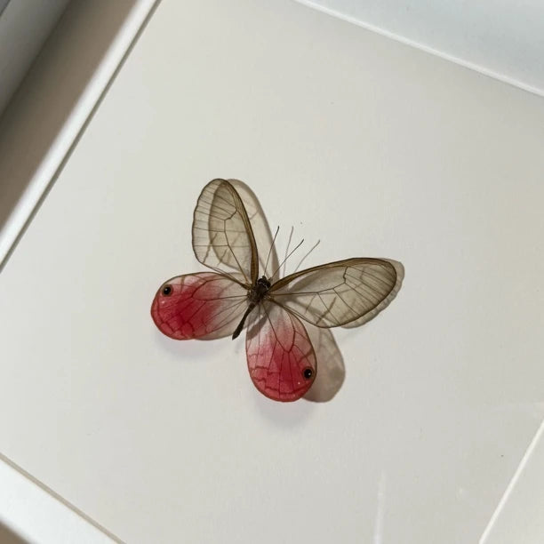 Red Nordic butterfly handmade decorative art photo frame couple gift for besties creative gift home decoration - image 2