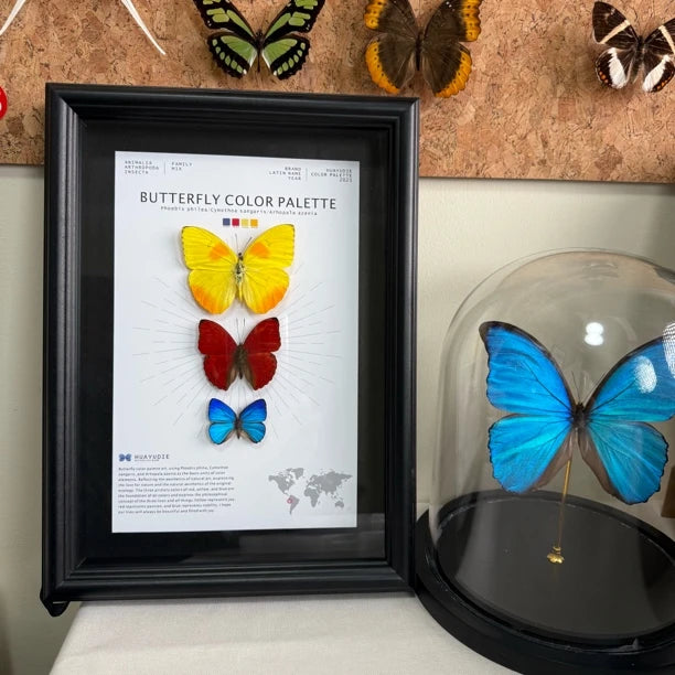 Three-color butterfly assemblage photo frame, creative gift for girlfriend, best friend and boyfriend, recommended home decoration creative gift