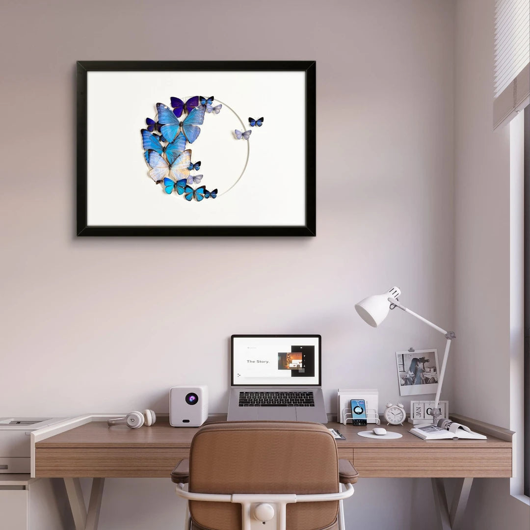 FLORAFLY "Sea Floating Night Moon" Real Butterfly decorative art Imported Real Butterfly Sofa Background Wall decorative art Gift - image 3