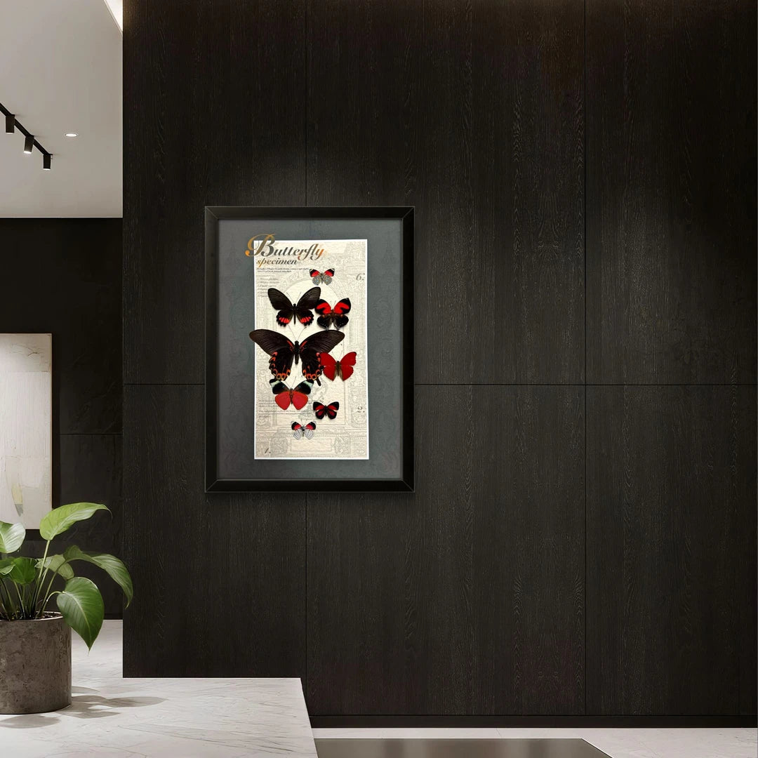 FLORAFLY "Lucky" Italian-style retro butterfly wall art vertical wood frame real butterfly specimen frame decorative art specimen gift - image 2