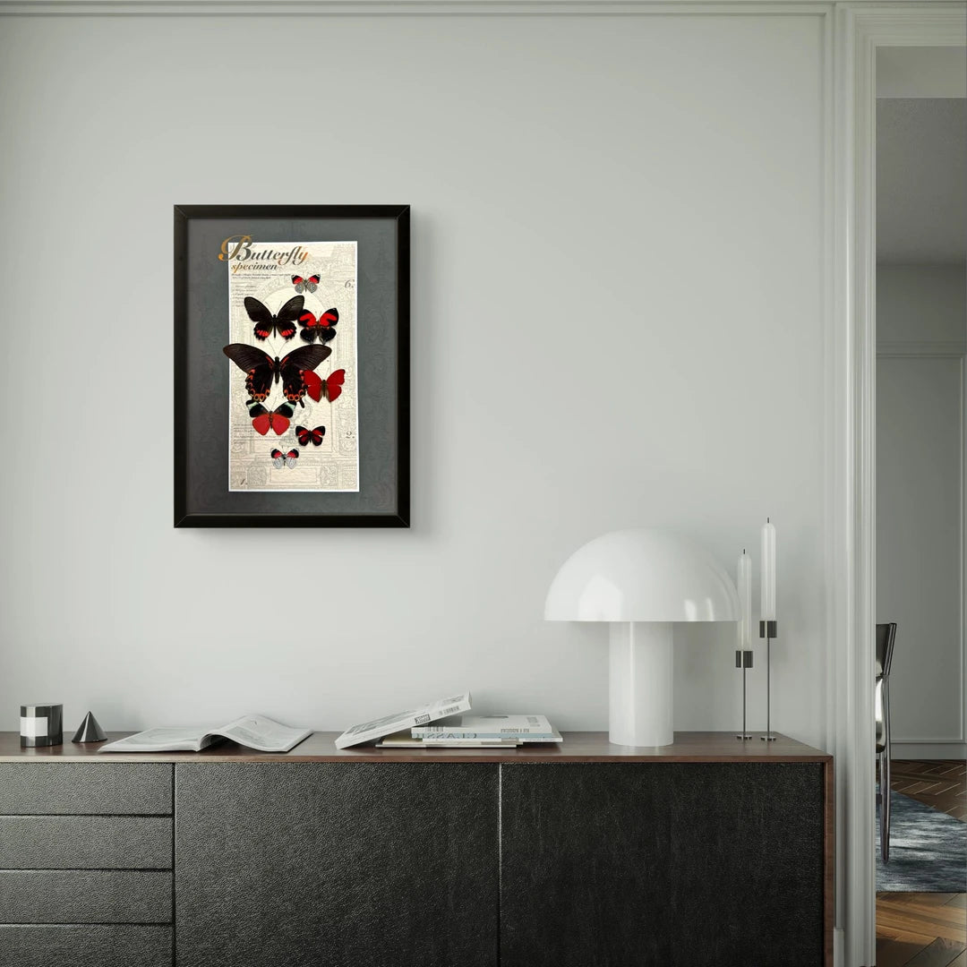 FLORAFLY "Lucky" Italian-style retro butterfly wall art vertical wood frame real butterfly specimen frame decorative art specimen gift - image 5