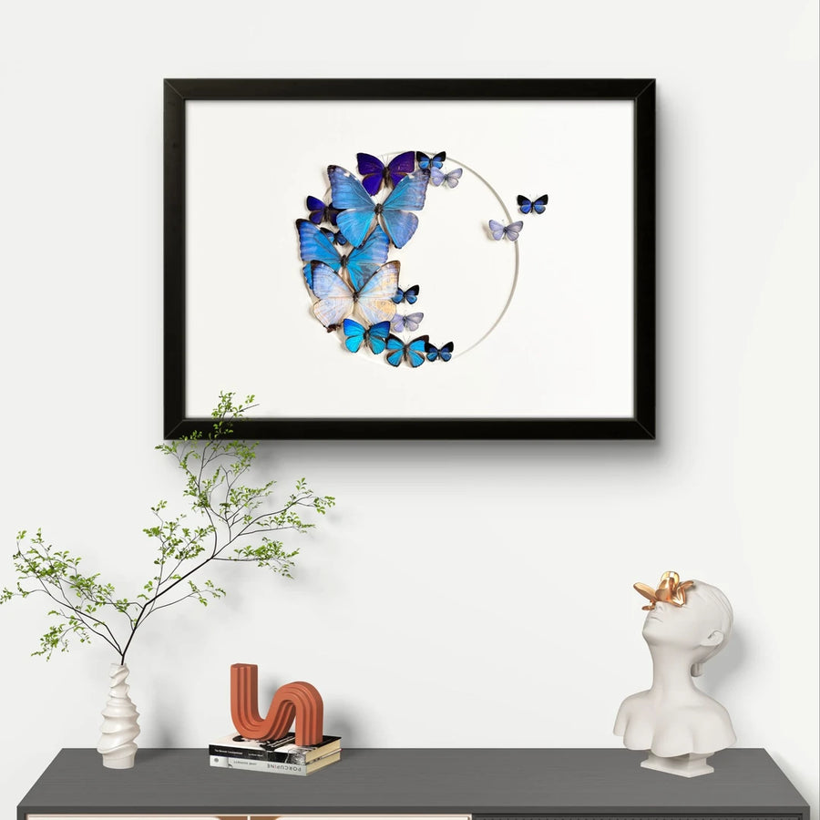 FLORAFLY "Sea Floating Night Moon" Real Butterfly decorative art Imported Real Butterfly Sofa Background Wall decorative art Gift
