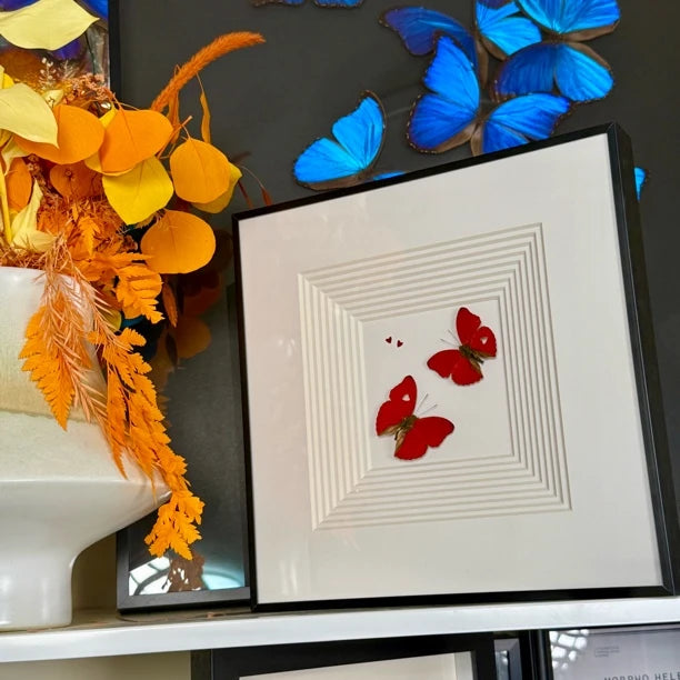 Blood-rippled butterflies flying together, butterfly specimens as birthday gifts for girlfriends and besties, butterfly photo frames for home use - image 4