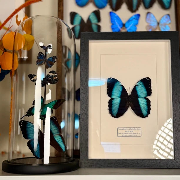 premium premium photo frame blue butterfly specimen creative gift elegant creative gift send light luxury decorative gift - image 2