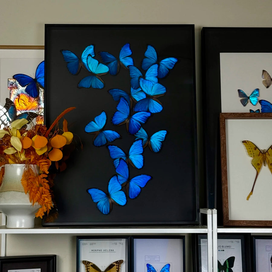 FLORAFLY "Blue Shadow" atmospheric butterfly new bedroom decoration painting living room wall art entrance premium wall art