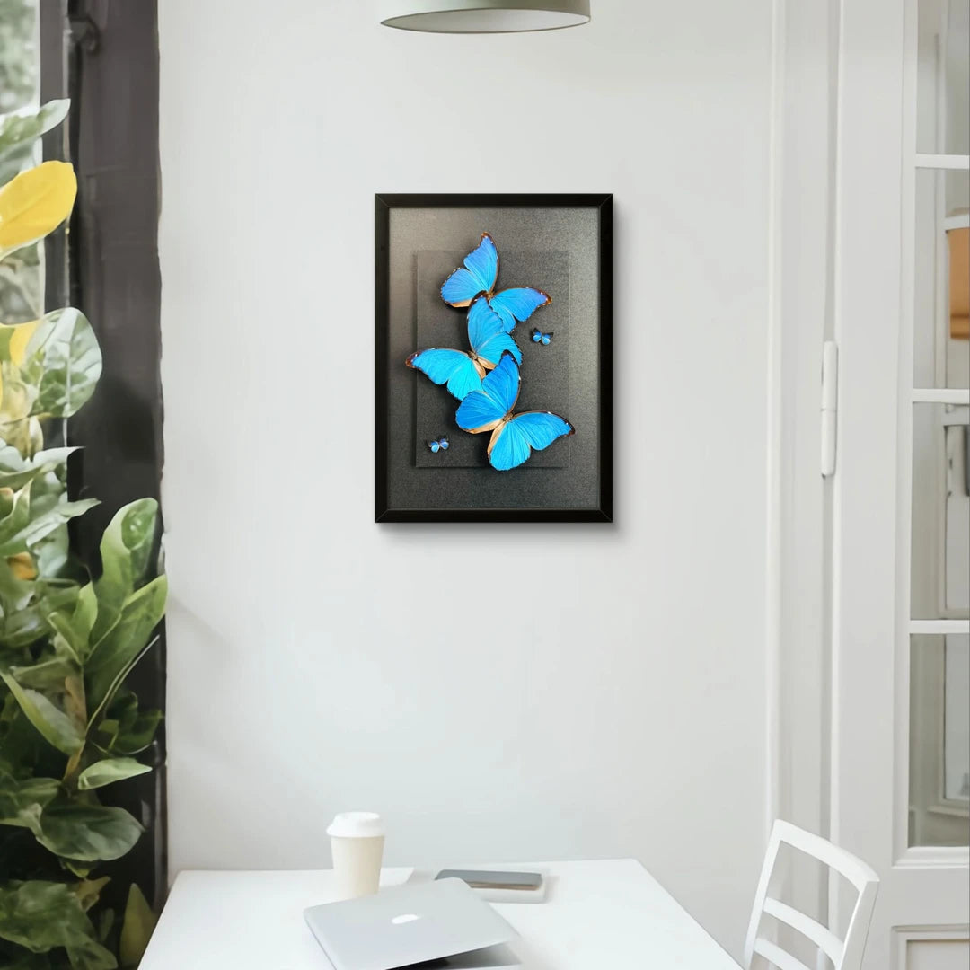 FLORAFLY "Blue Flash Trio" real butterfly decorative art living room shop hanging creative gift big blue morpho butterfly - image 2