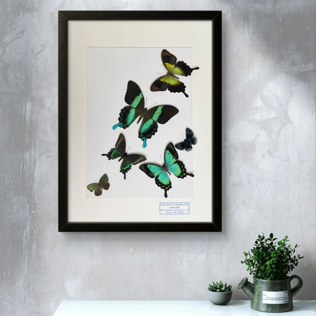 FLORAFLY "The Wizard of Oz" luxury-style butterfly assemblage vertical wood frame real butterfly specimen frame decorative art gift - image 4