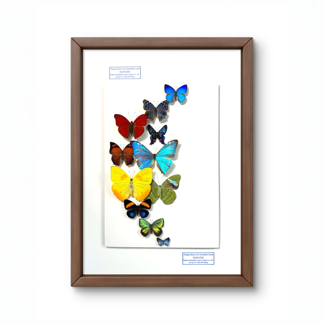 FLORAFLY "Flower Moon" Nordic style butterfly wall art vertical wood frame real butterfly specimen frame decorative art specimen gift - image 3